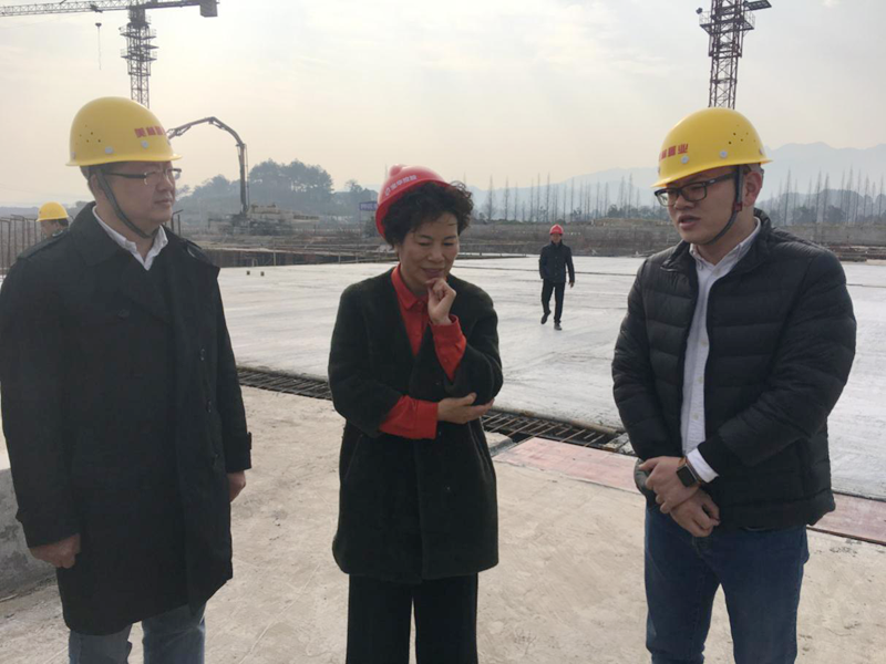 麗水市委常委、宣傳部長任淑女調(diào)研松陽美林·南城壹號(hào)項(xiàng)目