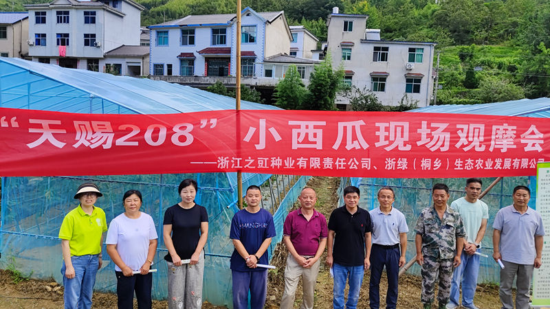 之豇種業(yè)“天賜208”小西瓜高山試種成功 助力山區(qū)特色農(nóng)業(yè)發(fā)展