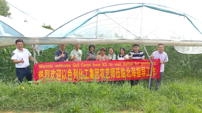 時令瓜果正當季 技術服務到田間——愛普科技攜手以色列農藝師助力瓜農穩(wěn)產增收